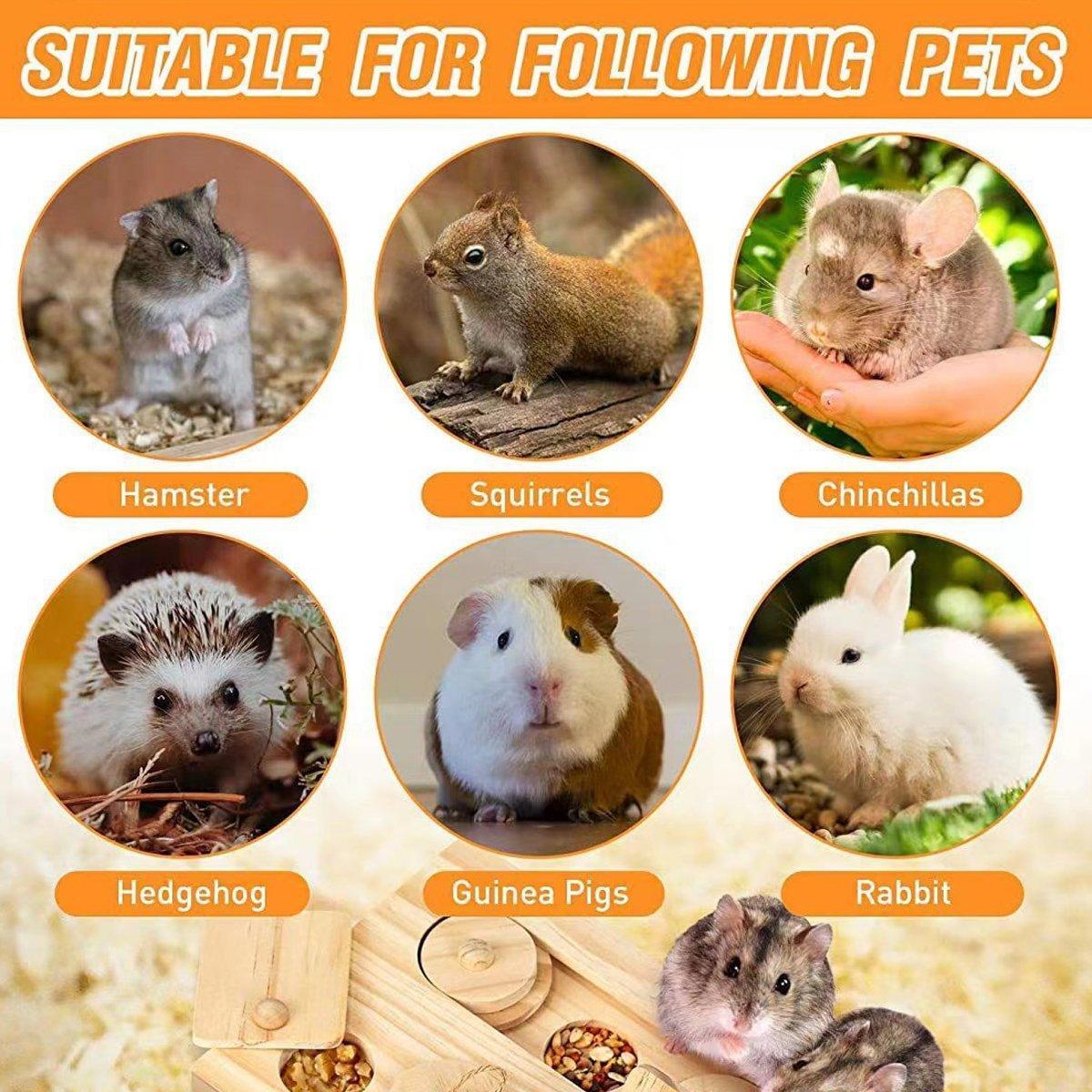 Hamster Feeder Snack