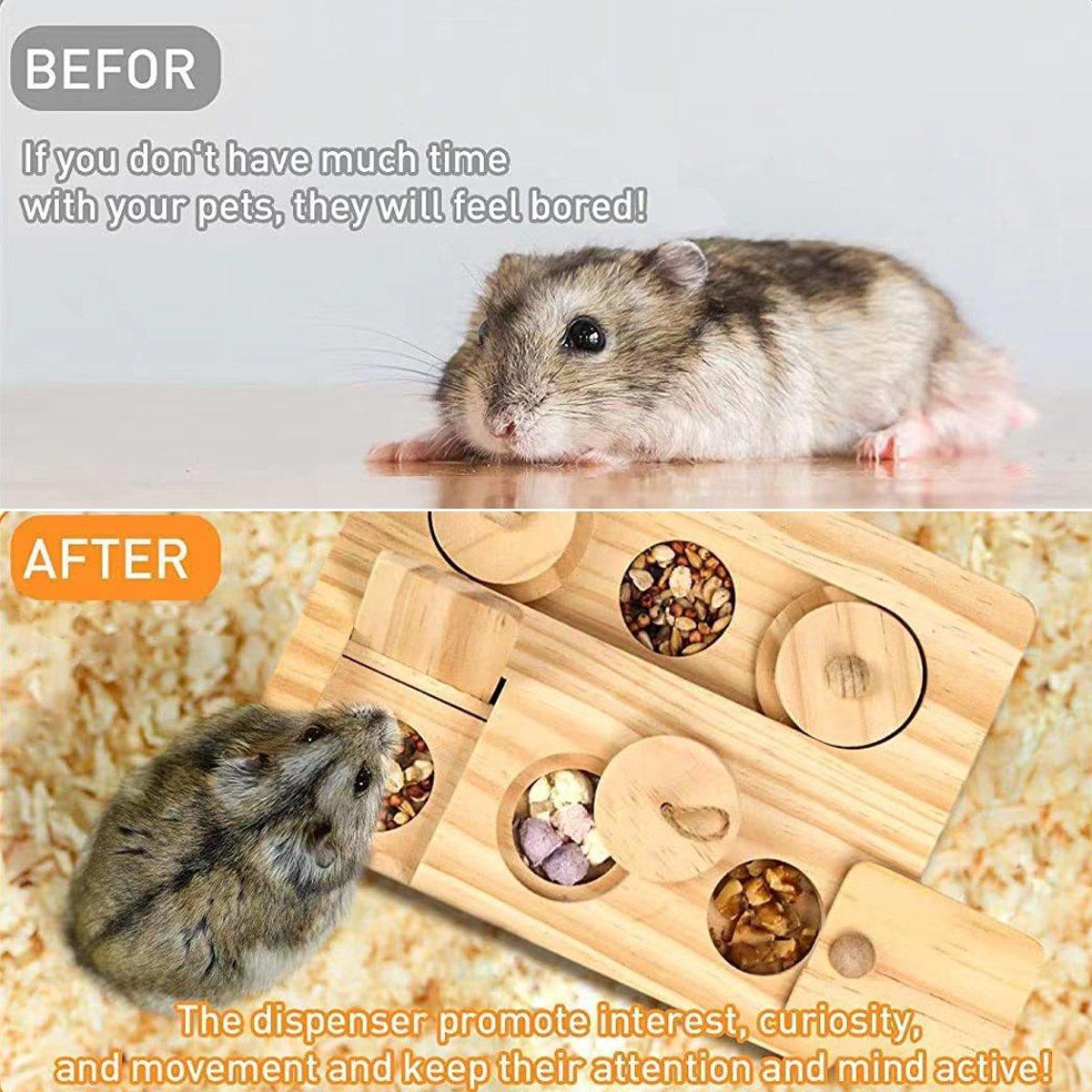 Hamster Feeder Snack
