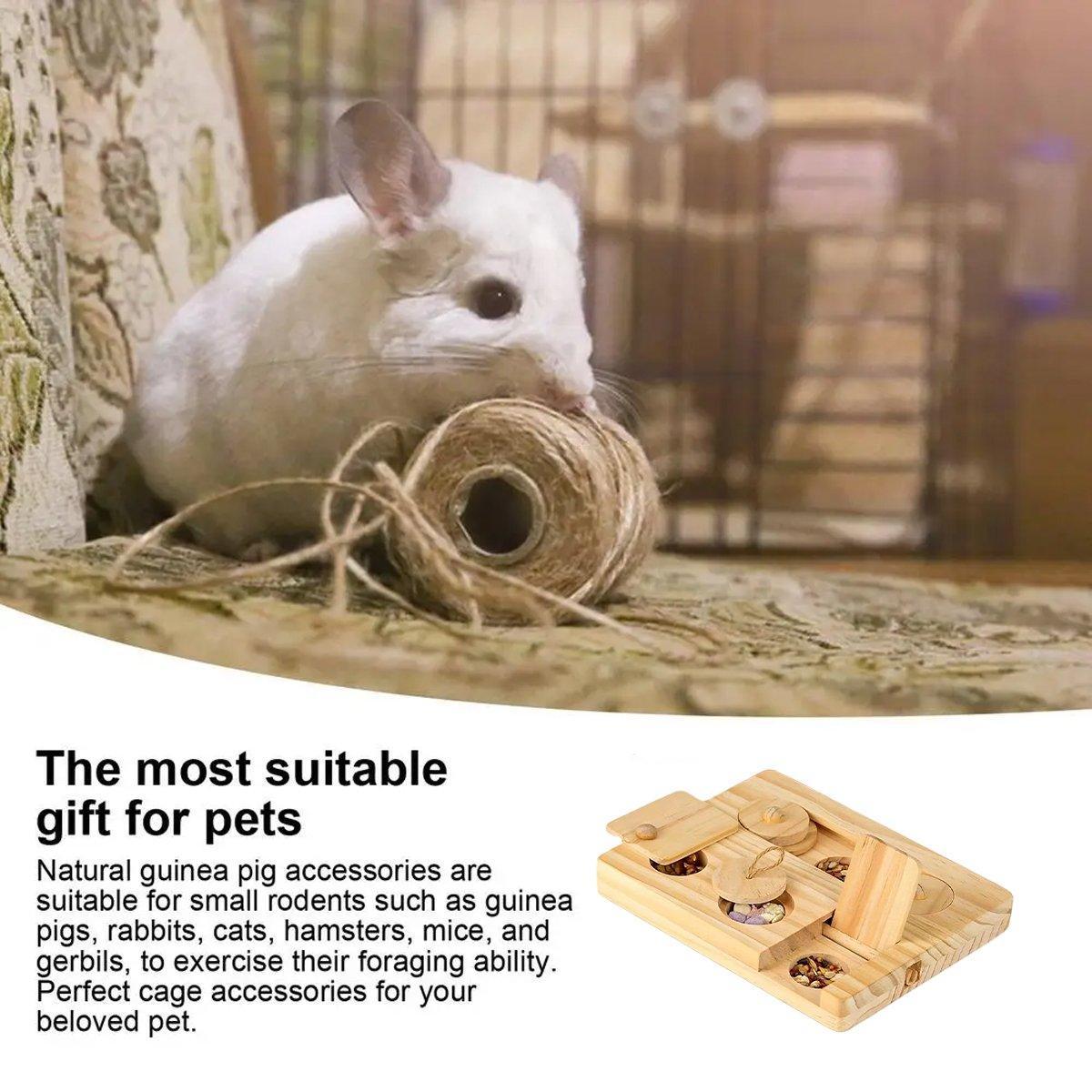 Hamster Feeder Snack